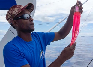 Top fishing lures to big game fish