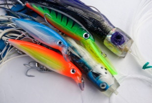 Ottivieheitä tonnikaloille, wahoolle, doradolle ja bonitolle.